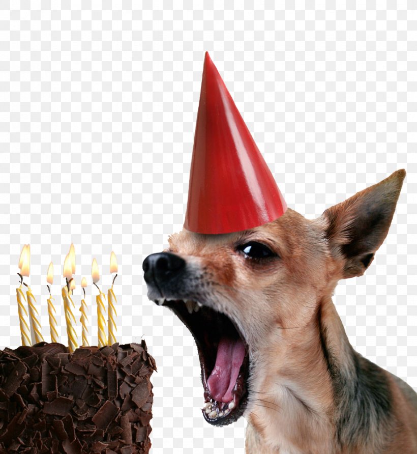 Chihuahua Birthday Cake Puppy Happy Birthday To You, PNG, 919x1000px, Chihuahua, Bark, Birthday, Birthday Cake, Birthday Card Download Free