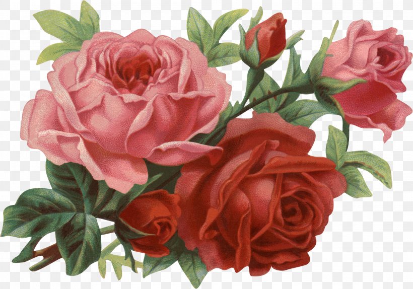 Rose Flower Clip Art, PNG, 2281x1598px, Rose, Artificial Flower, Cut Flowers, Floral Design, Floribunda Download Free