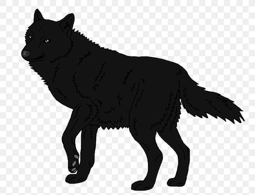 Schipperke Arctic Wolf Mexican Wolf Black Wolf Arctic Fox, PNG, 804x626px, Schipperke, Alpha Roll, Animal, Arctic Fox, Arctic Wolf Download Free