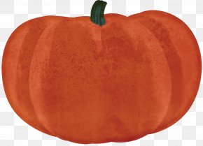 Spice Clipart - Pumpkin Calabaza Winter Squash Cucurbita Apple PNG