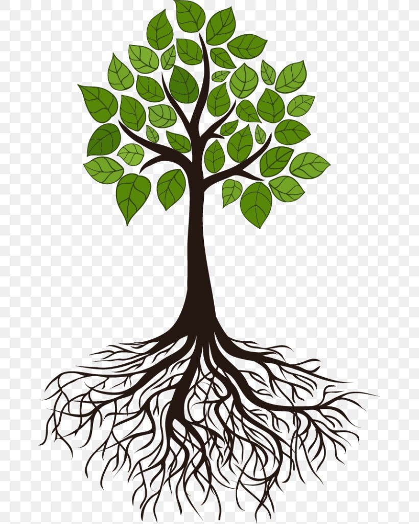 Tree Root Branch Clip Art, PNG, 669x1024px, Tree, Black And White, Branch, Flora, Flower Download Free