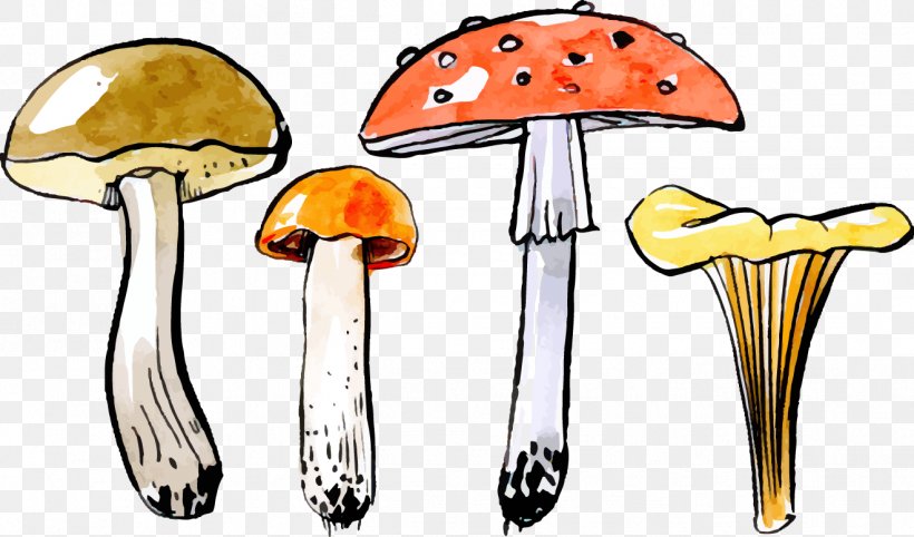 Autumn Mushroom, PNG, 1321x777px, Autumn, Art, Flat Design, Food, Leaf Download Free