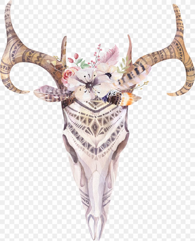 Cattle Boho-chic Skull Watercolor Painting Photography, PNG, 3181x3924px, Cattle, Antler, Art, Bohochic, Deer Download Free
