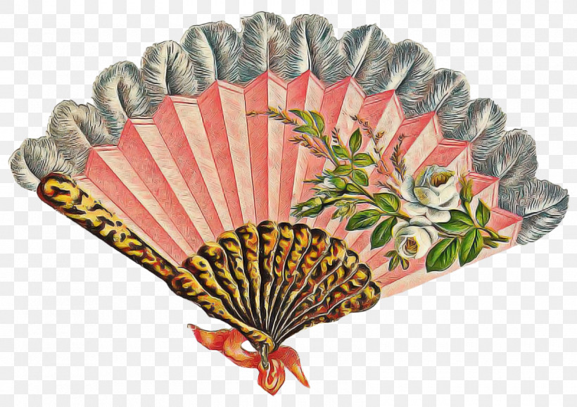 Decorative Fan Hand Fan Scallop Home Appliance, PNG, 1600x1128px, Decorative Fan, Hand Fan, Home Appliance, Scallop Download Free