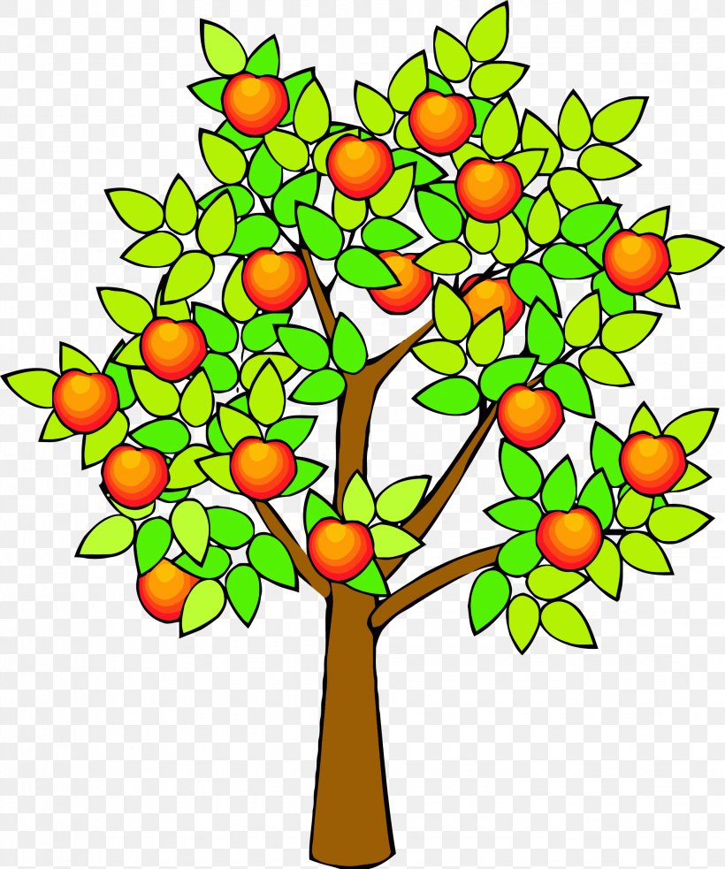 Drawing Fruit Tree Clip Art Apple Image, PNG, 2043x2451px, Drawing, Apple, Artwork, Branch, Flower Download Free