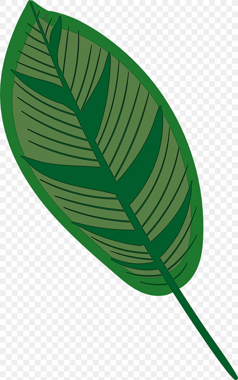 Leaf, PNG, 1961x3134px, Leaf, Alocasia, Alocasia Odora, Common Ivy, Flower Download Free