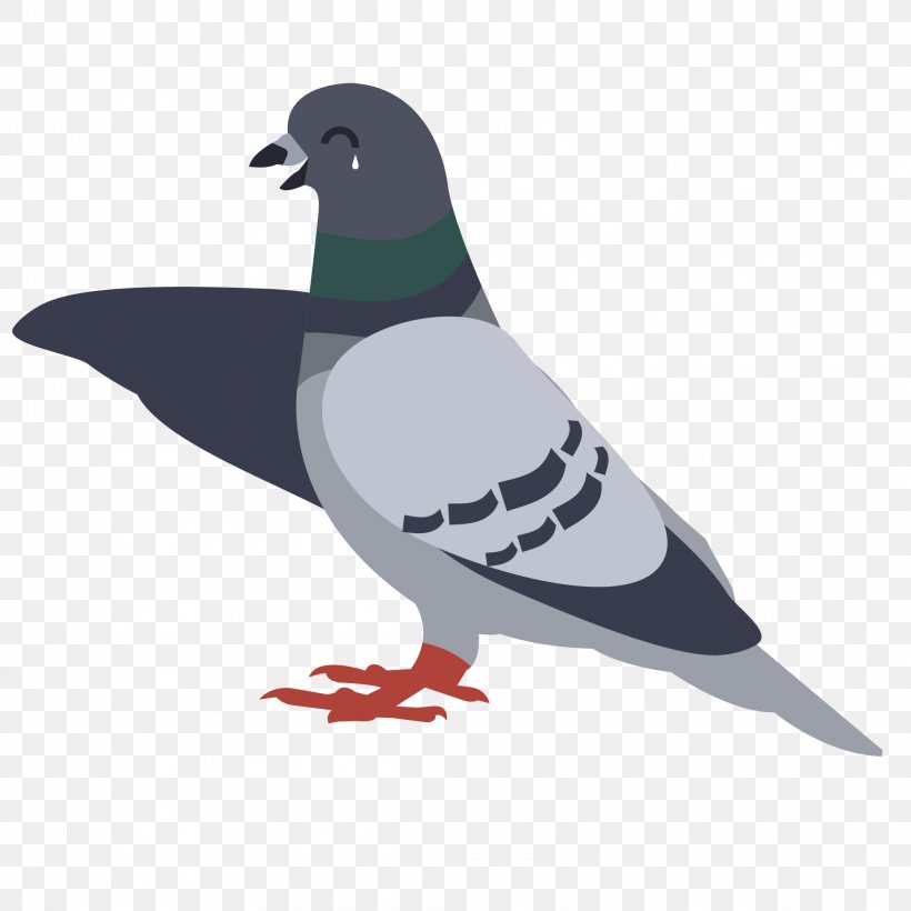 Pigeons And Doves PicsArt Photo Studio Image Clip Art Archangel Pigeon, PNG, 2084x2084px, Pigeons And Doves, Beak, Bird, Collage, Fauna Download Free