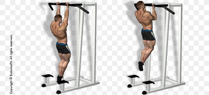 Pull-up Weight Training Chin-up Horizontal Bar Fitness Centre, PNG, 750x375px, Watercolor, Cartoon, Flower, Frame, Heart Download Free