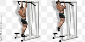 Delta Blues - Pull-up Weight Training Chin-up Horizontal Bar Fitness Centre PNG