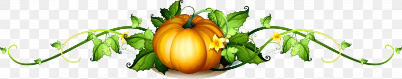 Pumpkin Vine Royalty-free Clip Art, PNG, 3762x746px, Pumpkin, Blog, Drawing, Floristry, Flower Download Free