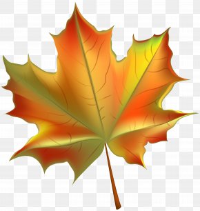 Beautiful Autumn Leaf Transparent Clip Art Image - Autumn Leaf Color Clip Art PNG
