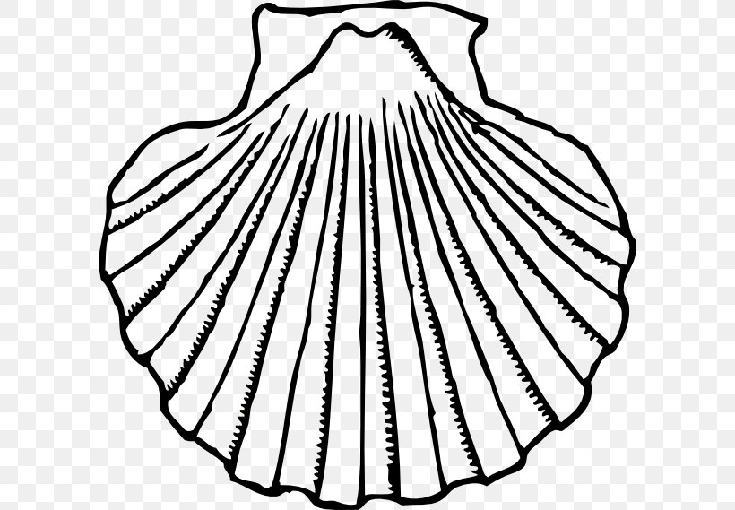 Clam Seashell Oyster Clip Art, PNG, 600x569px, Clam, Black And White, Blog, Conch, Drawing Download Free