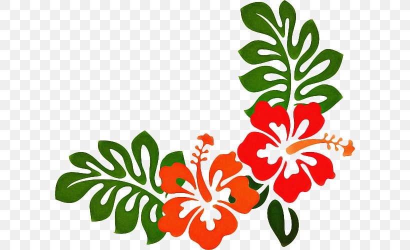 Hawaiian Hibiscus Hibiscus Leaf Clip Art Flower, PNG, 600x500px, Hawaiian Hibiscus, Flower, Flowering Plant, Hibiscus, Leaf Download Free