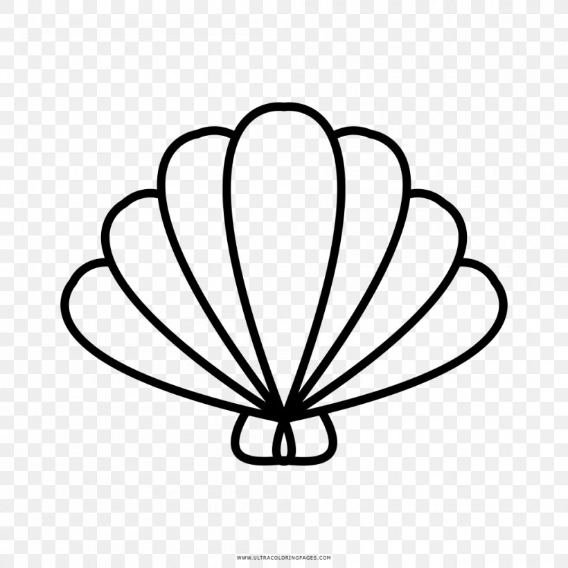 Seashell Logo Drawing, PNG, 1000x1000px, Seashell, Area, Black And White, Drawing, Flora Download Free
