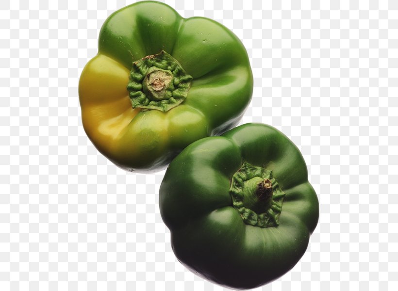 Bush Tomato Food Tomatillo Clip Art, PNG, 497x600px, Bush Tomato, Archive File, Bell Pepper, Bell Peppers And Chili Peppers, Capsicum Annuum Download Free