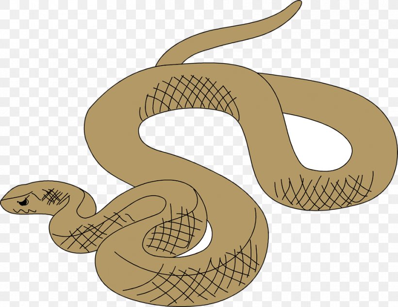 Common Garter Snake Rattlesnake Clip Art, PNG, 958x739px, Snake, Boa ...