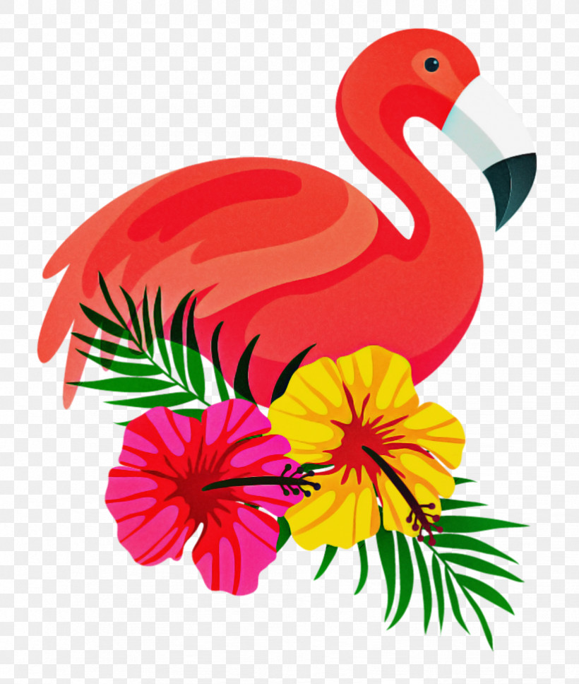 Flamingo, PNG, 822x971px, Bird, Beak, Flamingo, Greater Flamingo, Plant Download Free