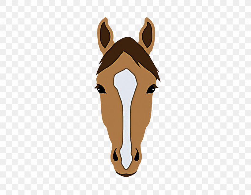 Head Nose Snout Horse Ear, PNG, 1800x1400px, Head, Ear, Horse, Liver, Mane Download Free