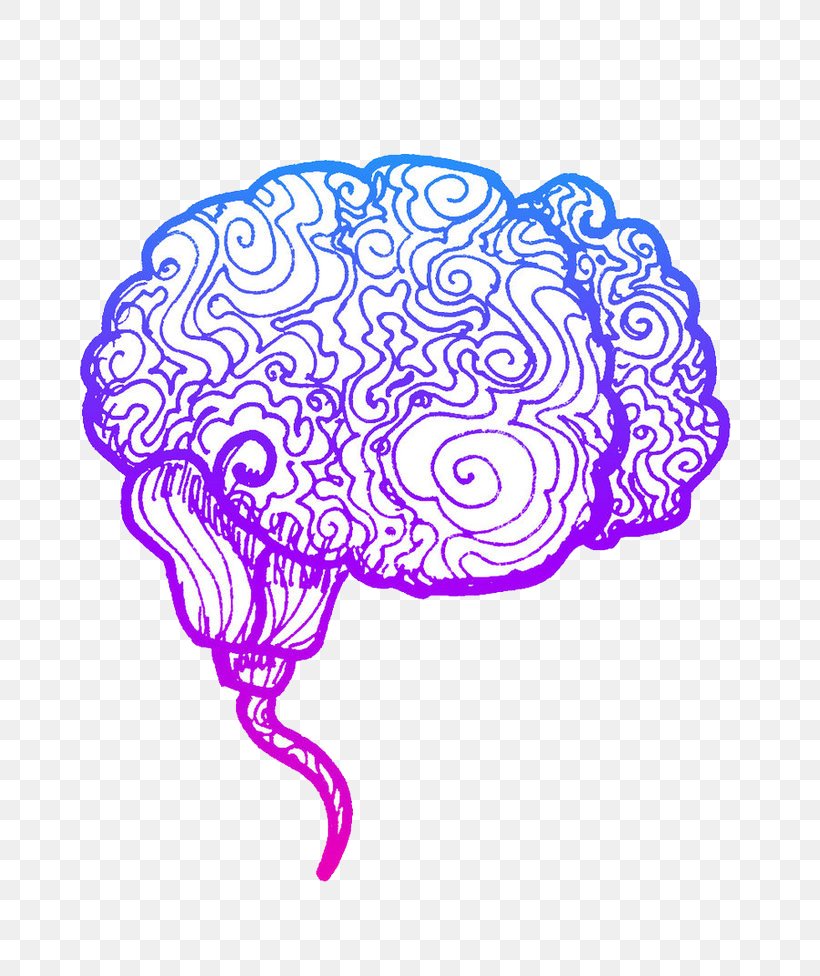 Human Brain Agy Cerebral Hemisphere Cerebral Cortex Sense, PNG, 819x976px, Watercolor, Cartoon, Flower, Frame, Heart Download Free