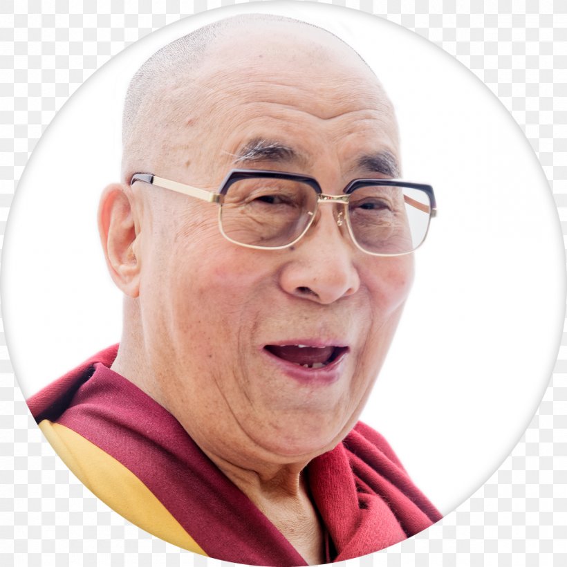 The Book Of Joy 14th Dalai Lama FEARVANA: The Revolutionary Science Of How To Turn Fear Into Health, Wealth And Happiness, PNG, 1200x1200px, 14th Dalai Lama, Book Of Joy, Author, Book, Chin Download Free