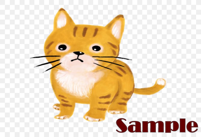 Whiskers Kitten Domestic Short-haired Cat Tabby Cat Wildcat, PNG, 800x560px, Whiskers, Carnivoran, Cartoon, Cat, Cat Like Mammal Download Free