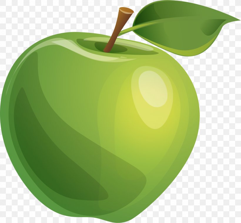 Apple Green, PNG, 1501x1392px, Apple, Drawing, Food, Fruit, Granny Smith Download Free
