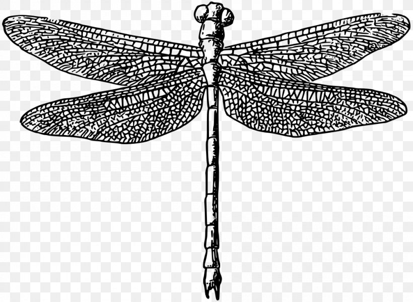 Dragonfly Clip Art, PNG, 1000x731px, Dragonfly, Arthropod, Autocad Dxf, Black And White, Butterfly Download Free