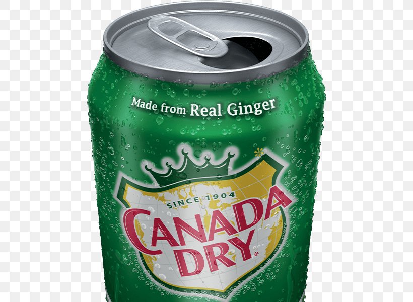 Fizzy Drinks Ginger Ale Ginger Beer Root Beer Vernors, PNG, 476x600px, Fizzy Drinks, Alcoholic Drink, Aluminum Can, Beverage Can, Canada Dry Download Free