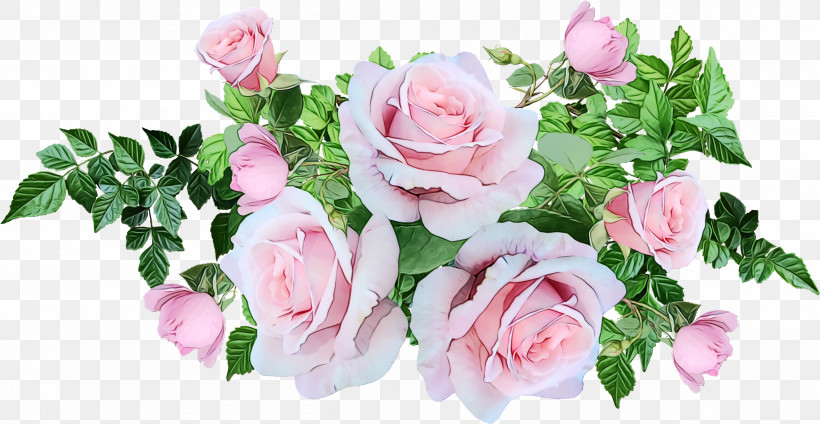 Garden Roses, PNG, 2560x1324px, Watercolor, Artificial Flower, Branch, Cabbage Rose, Cut Flowers Download Free