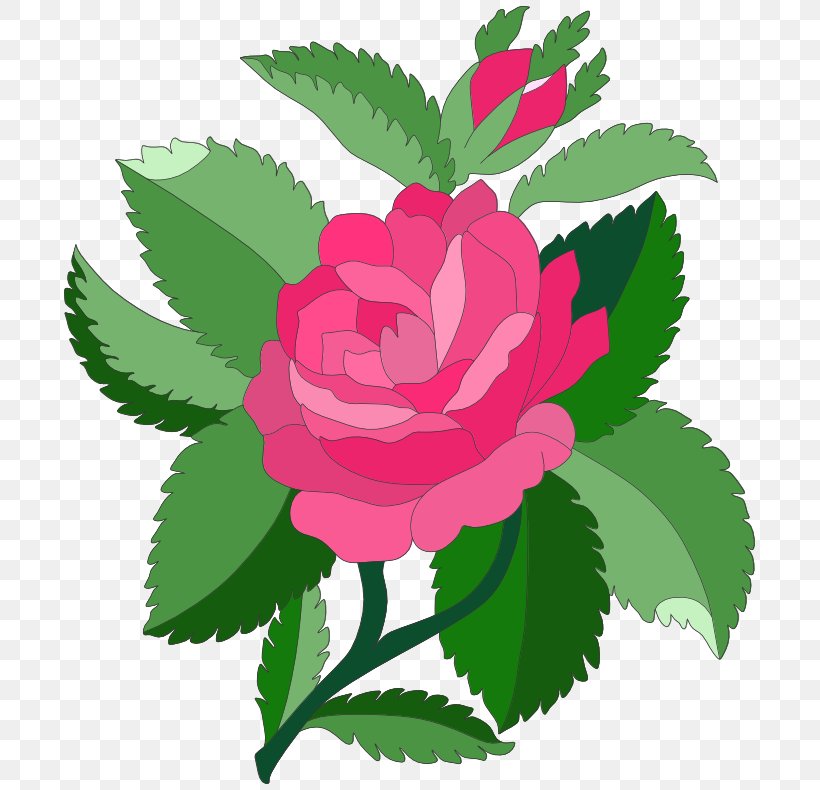 Garden Roses Art Nouveau Designs Pink Clip Art, PNG, 703x790px, Garden Roses, Art, Art Nouveau Designs, Cabbage Rose, Color Download Free