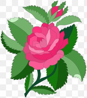 Design - Garden Roses Art Nouveau Designs Pink Clip Art PNG