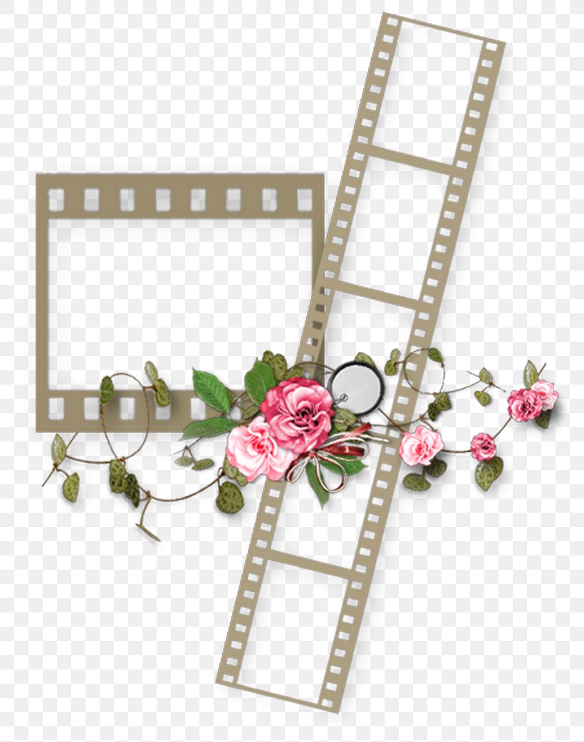 Picture Frames Molding Photography, PNG, 800x1042px, Picture Frames, Digital Photo Frame, Film Frame, Floral Design, Flower Download Free