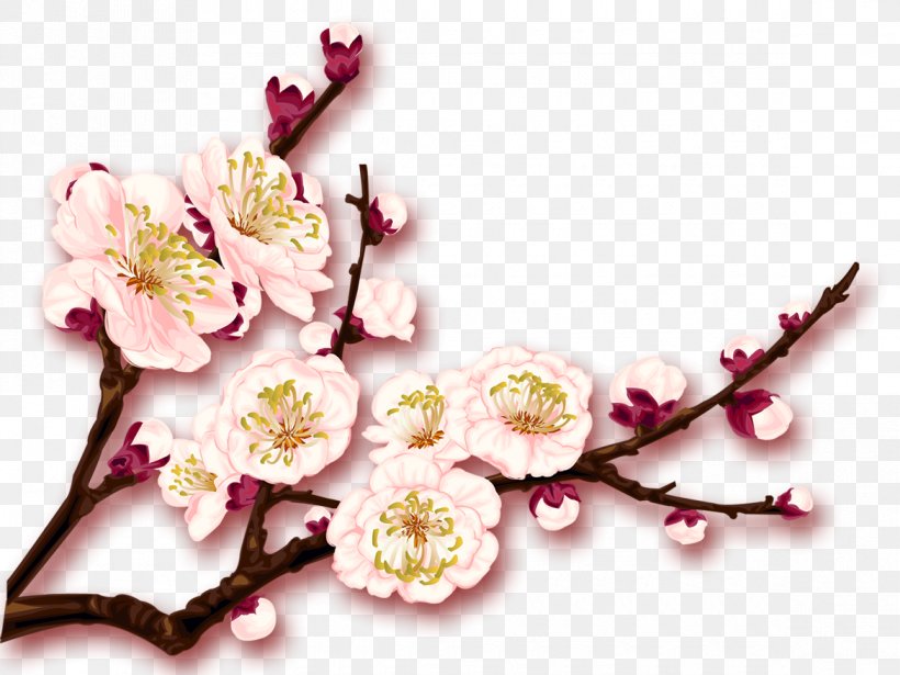 Plum Blossom Download, PNG, 1170x878px, Plum Blossom, Blossom, Branch, Cherry Blossom, Computer Software Download Free