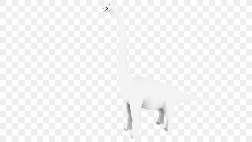 Cat White Tail, PNG, 1920x1080px, Cat, Animal, Animal Figure, Black And White, Carnivoran Download Free