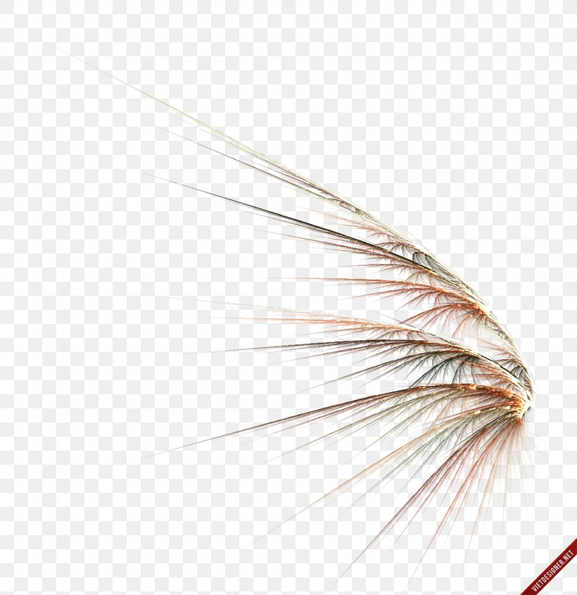 Drawing Clip Art, PNG, 1016x1047px, Drawing, Artificial Fly, Feather, Photography, Quill Download Free