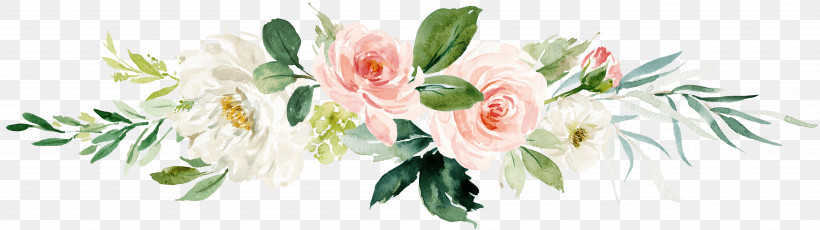 Garden Roses, PNG, 7397x2077px, Flower, Bouquet, Cut Flowers, Garden Roses, Petal Download Free