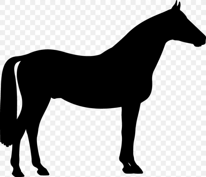 Horse Cartoon, PNG, 837x720px, Pony, Akhalteke, Animal Figure, Black, Blackandwhite Download Free