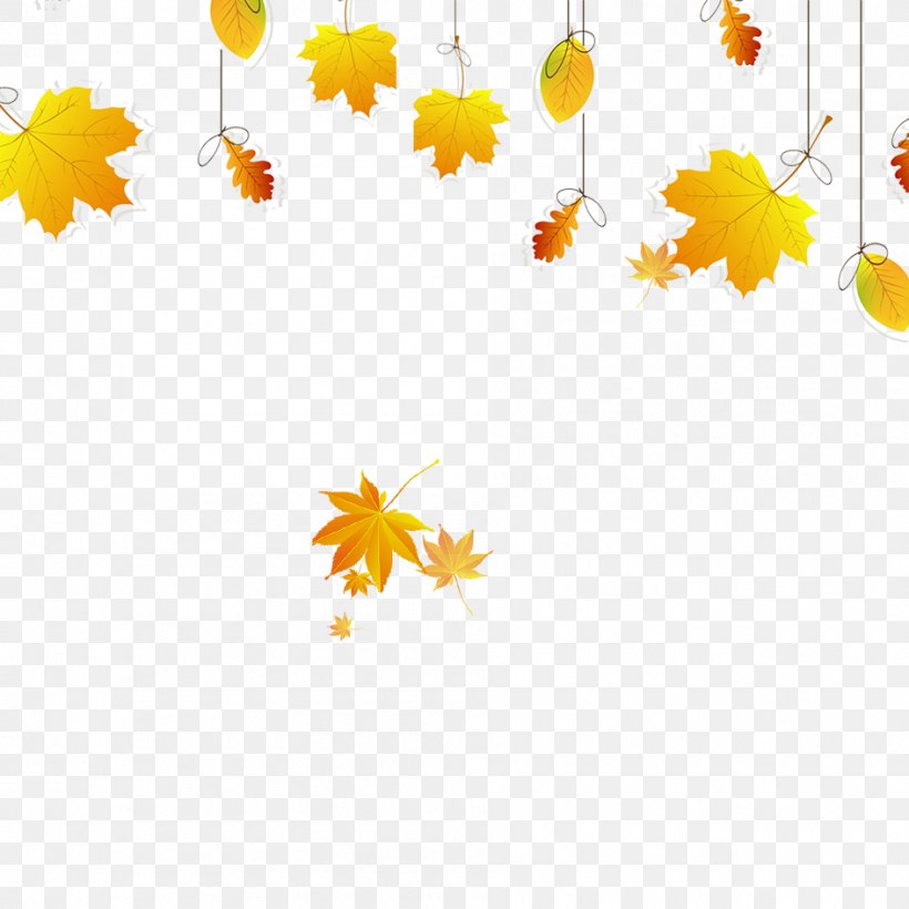 Maple Leaf Autumn Leaf Color, PNG, 945x945px, Leaf, Autumn, Autumn Leaf Color, Deciduous, Flower Download Free