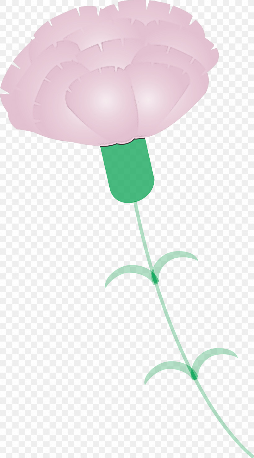 Mothers Day Carnation Mothers Day Flower, PNG, 1667x3000px, Mothers Day Carnation, Flower, Mothers Day Flower, Pink, Plant Download Free