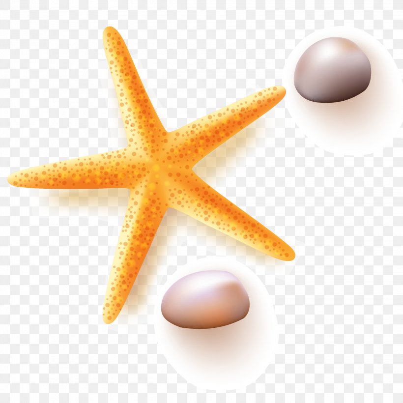 Starfish Euclidean Vector Pebble, PNG, 2244x2244px, Starfish, Beach, Cobblestone, Echinoderm, Euclidean Distance Download Free