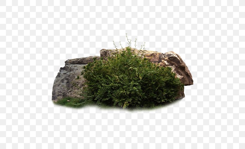 Stone Forest Rock Download, PNG, 500x500px, Stone Forest, Flowerpot, Grass, Herb, Houseplant Download Free