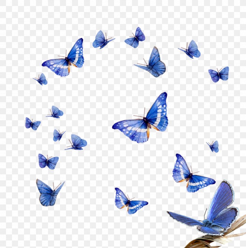 Butterfly Effect Assalamualaikum Beijing Clip Art, PNG, 993x1000px, Butterfly, Animation, Blue, Butterflies And Moths, Butterfly Effect Download Free