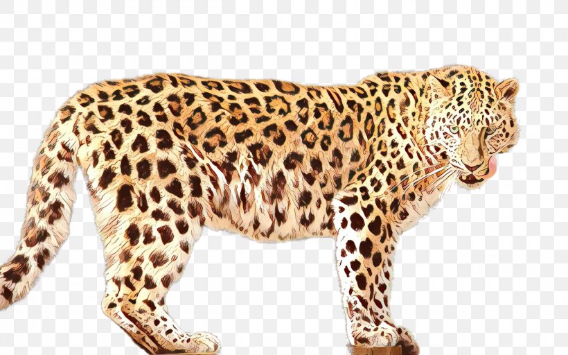 Leopard Jaguar Cheetah Ocelot Fauna, PNG, 2560x1599px, Leopard, African Leopard, Animal, Animal Figure, Big Cats Download Free