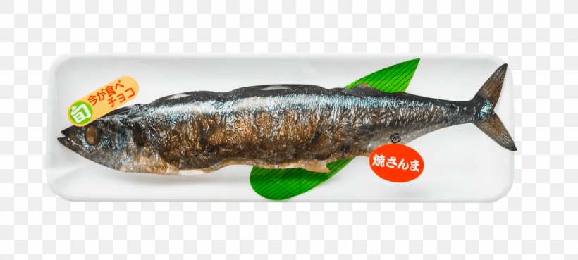 Pacific Saury （有）マルケイ 企画・卸 Chocolate Ice Cream Cones Häagen-Dazs, PNG, 1024x462px, Pacific Saury, Animal Source Foods, Chocolate, Fish, Fish Products Download Free