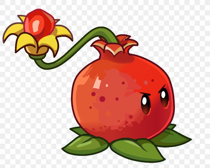 Plants Vs. Zombies 2: It's About Time Pomegranate Wikia, PNG, 1161x927px, Watercolor, Cartoon, Flower, Frame, Heart Download Free