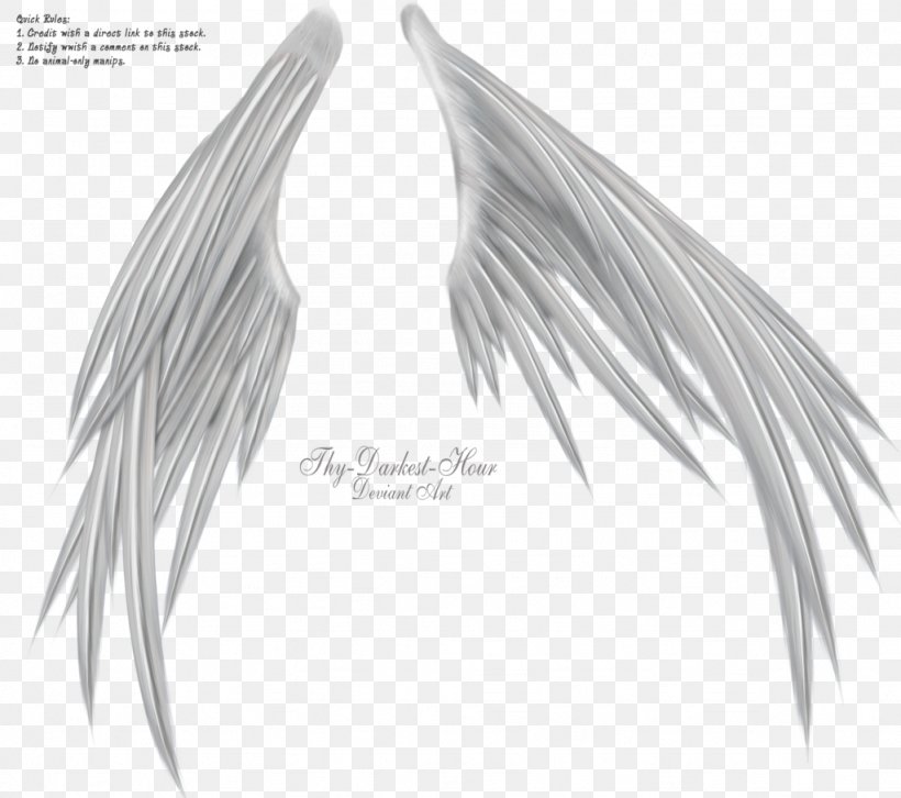 Wings Of Madness Black And White Photography, PNG, 1024x907px, Wing, Artwork, Beak, Bird, Black And White Download Free