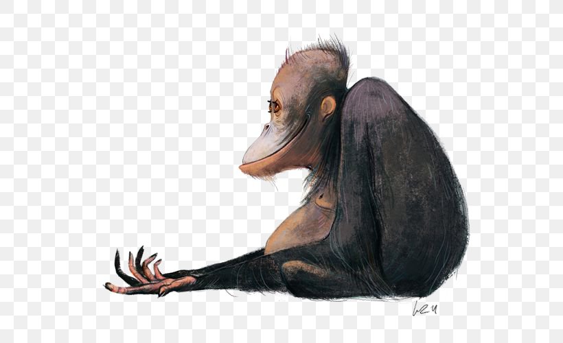 Ape Orangutan Cartoon Illustration, PNG, 564x500px, Ape, Cartoon, Concept Art, Drawing, Drawnonfilm Animation Download Free