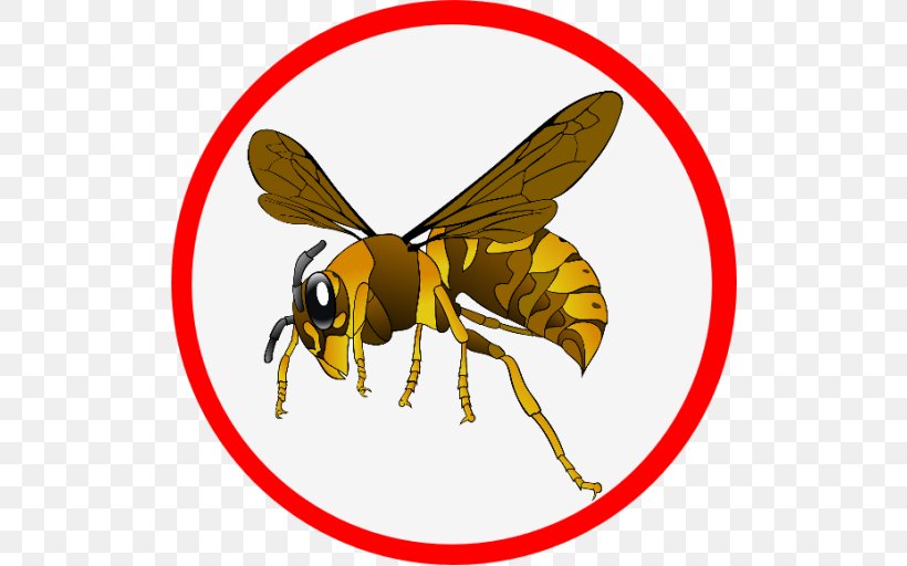 Clip Art Wasp European Hornet, PNG, 512x512px, Wasp, Arthropod, Asian Giant Hornet, Baldfaced Hornet, Bee Download Free