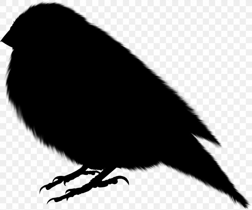 Logo Silhouette Illustration Drawing Image, PNG, 1907x1587px, Logo, Author, Beak, Bird, Black Download Free