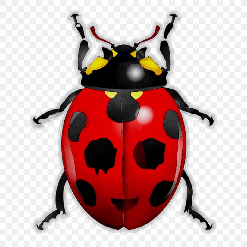 Beetles And Other Insects Ladybird Beetle True Bugs Arthropod, PNG, 1107x1107px, Beetle, Aphid, Arthropod, Beetles And Other Insects, Bernard Durin Download Free